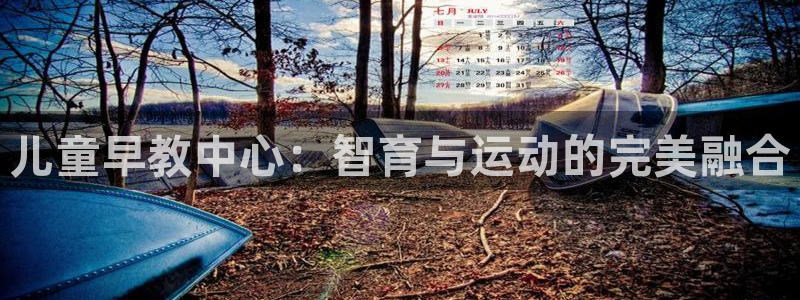 天顺娱乐丶金手指科捷1：儿童早教中心：智育与运动的完美融合
