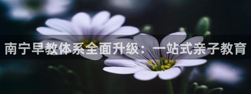 天顺娱乐负责人癶引领p29999：南宁早教体系全面升级：一站式亲子教育