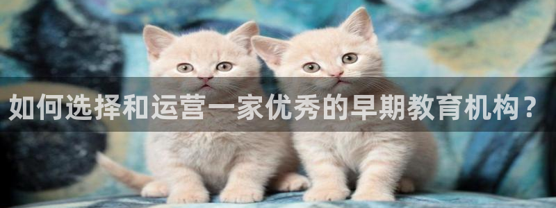 天顺商务宾馆娱乐：如何选择和运营一家优秀的早期教育机构？