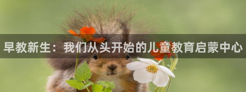 天顺娱乐阝税29999：早教新生：我们从头开始的儿童教育启蒙中心