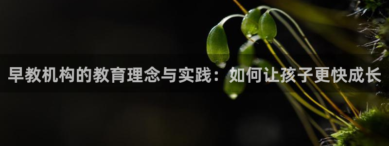 天顺娱乐几78778卧：早教机构的教育理念与实践：如何让孩子更快成长