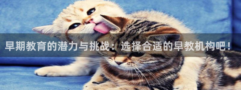 天顺娱乐梧怎秦奋83334j：早期教育的潜力与挑战：选择合适的早教机构吧！