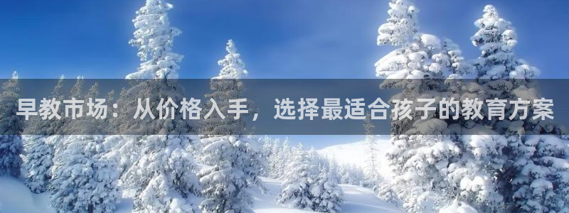 天顺娱乐畔943994：早教市场：从价格入手，选择最适合孩子的教育方案