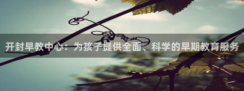 天顺娱乐律78778：开封早教中心：为孩子提供全面、科学的早期教育服务