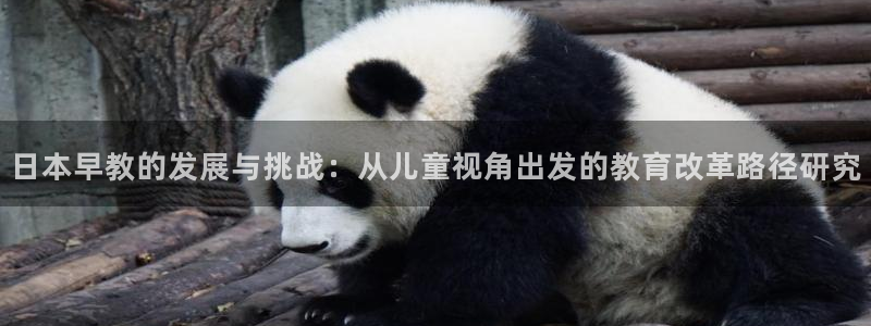 天顺电玩娱乐中心：日本早教的发展与挑战：从儿童视角出发的教育改革路径研究