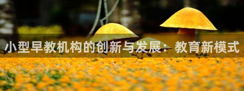 天顺娱乐平台登录首页：小型早教机构的创新与发展：教育新模式