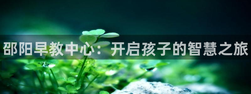 天顺娱乐平台登录首页：邵阳早教中心：开启孩子的智慧之旅