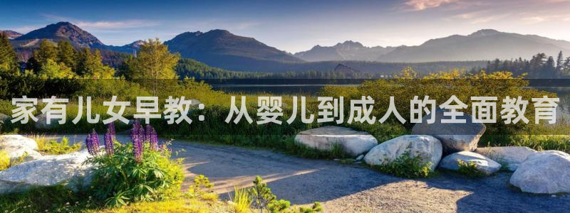 天顺娱乐地址查询：家有儿女早教：从婴儿到成人的全面教育