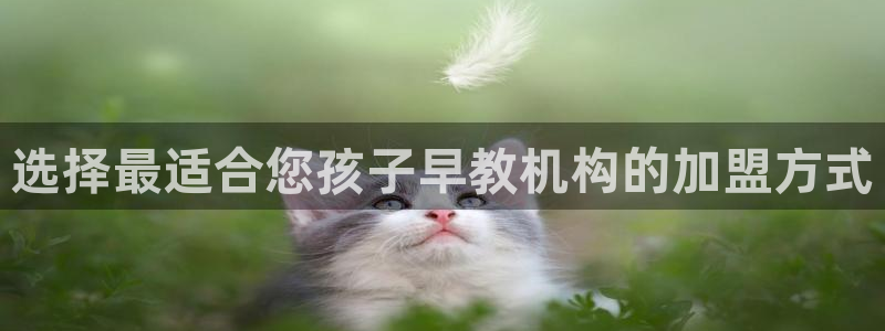 天顺娱乐主管着：选择最适合您孩子早教机构的加盟方式