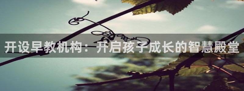 瑞丽市天顺娱乐会所：开设早教机构：开启孩子成长的智慧殿堂