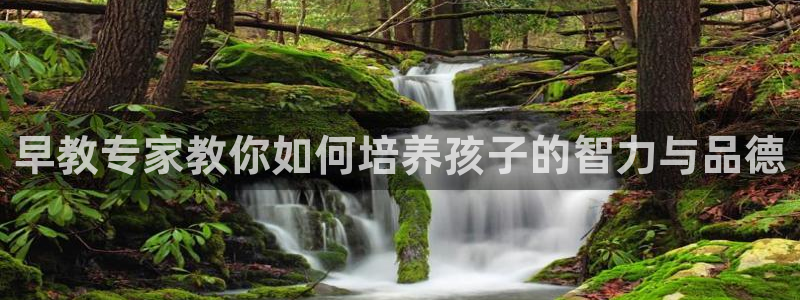 天顺娱乐扒943994：早教专家教你如何培养孩子的智力与品德