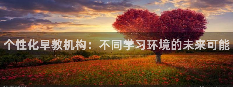 天顺娱乐思绪471187 NAME：个性化早教机构：不同学习环境的未来可能