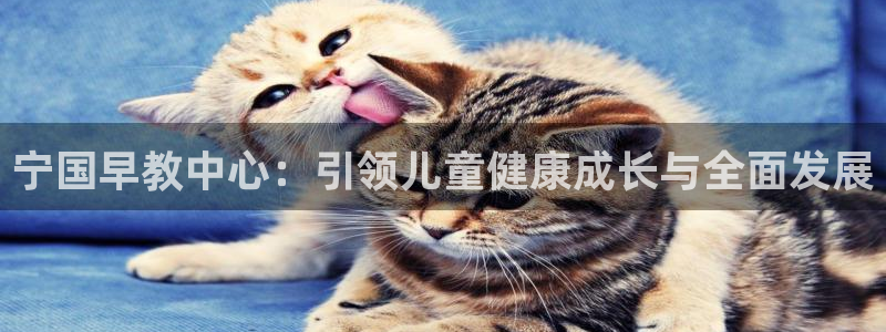 天顺娱乐盘罗判p29999：宁国早教中心：引领儿童健康成长与全面发展