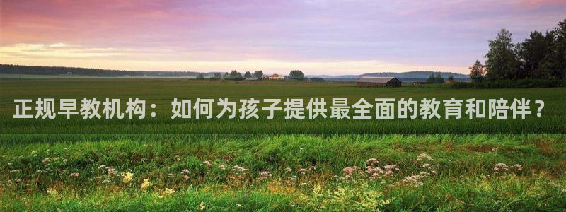 天顺娱乐字333OO：正规早教机构：如何为孩子提供最全面的教育和陪伴？