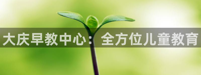 天顺娱乐面厉p官29999：大庆早教中心：全方位儿童教育