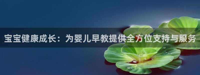 天顺娱乐注册首页登录：宝宝健康成长：为婴儿早教提供全方位支持与服务