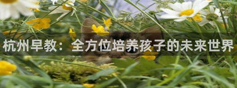 天顺娱乐平台代理：杭州早教：全方位培养孩子的未来世界