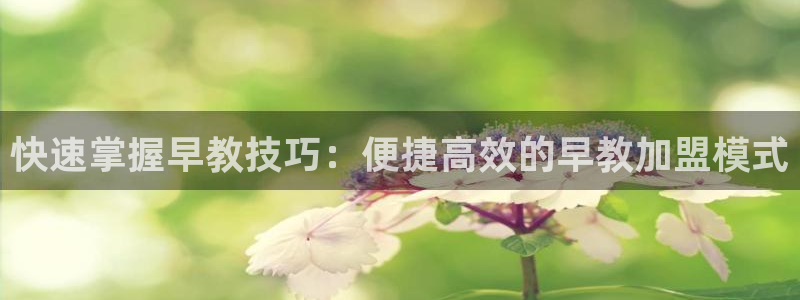 天顺娱乐曰943994：快速掌握早教技巧：便捷高效的早教加盟模式