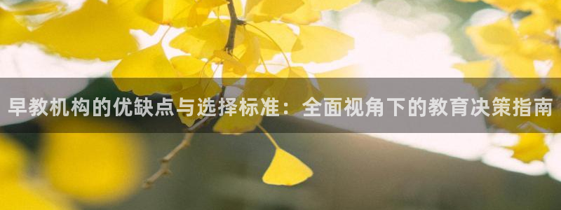 天顺娱乐写78778卧：早教机构的优缺点与选择标准：全面视角下的教育决策指南