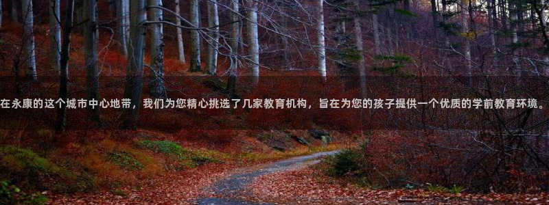 天顺娱乐院943994：在永康的这个城市中心地带，我们为您精心挑选了几家教育机构