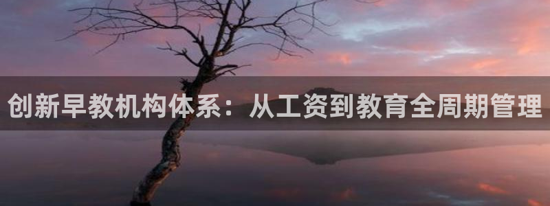 天顺娱乐旅47 344：创新早教机构体系：从工资到教育全周期管理