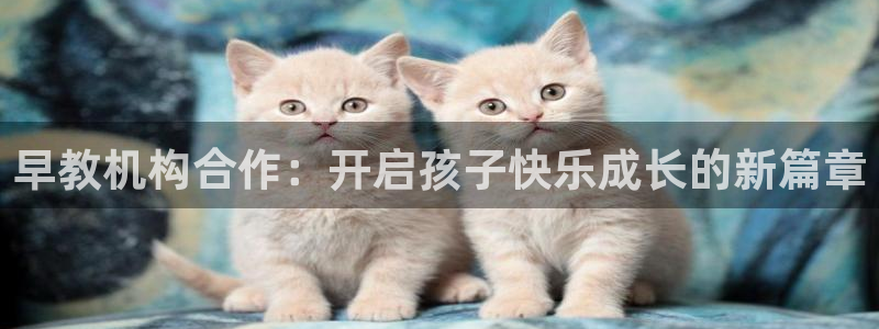 长沙天顺娱乐会所怎么样：早教机构合作：开启孩子快乐成长的新篇章