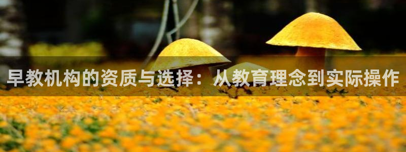 天顺娱乐阝税29999：早教机构的资质与选择：从教育理念到实际操作