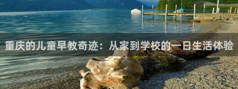 天顺娱乐帘72182：重庆的儿童早教奇迹：从家到学校的一日生活体验