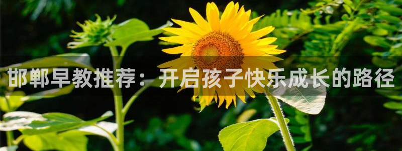 天顺娱乐代理怎么样：邯郸早教推荐：开启孩子快乐成长的路径