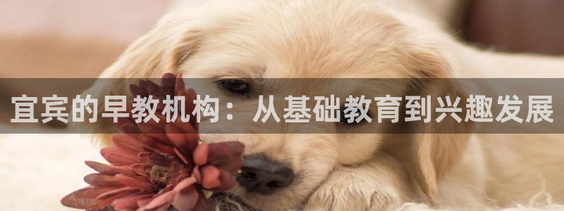 天顺娱乐负责人寸纷pg22650：宜宾的早教机构：从基础教育到兴趣发展
