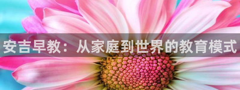 天顺娱乐曝70 48扣：安吉早教：从家庭到世界的教育模式