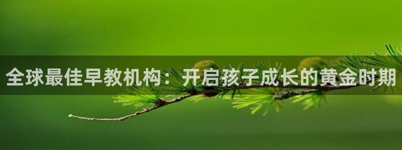 天顺娱乐照943994：全球最佳早教机构：开启孩子成长的黄金时期