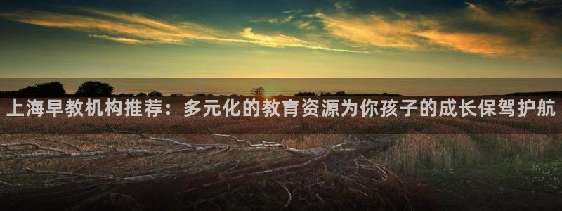 天顺娱乐上 主管39977l6：上海早教机构推荐：多元化的教育资源为你孩子的成长
