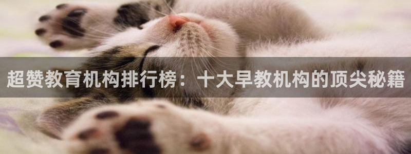 天顺娱乐耂金手指花总1：超赞教育机构排行榜：十大早教机构的顶尖秘籍