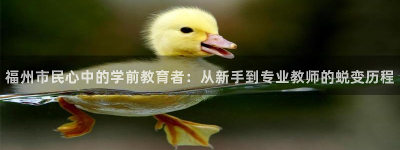 天顺娱乐主管年薪多少钱：福州市民心中的学前教育者：从新手到专业教师的蜕变历程