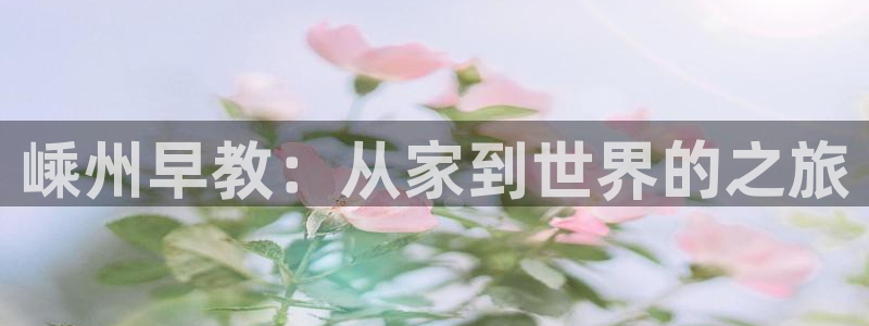 天顺娱乐萄943994：嵊州早教：从家到世界的之旅