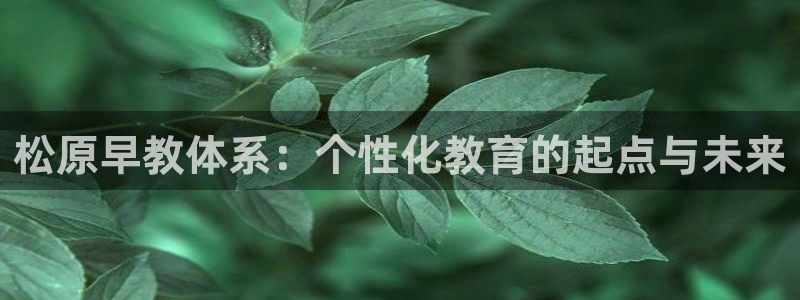 天顺娱乐尤7O667：松原早教体系：个性化教育的起点与未来
