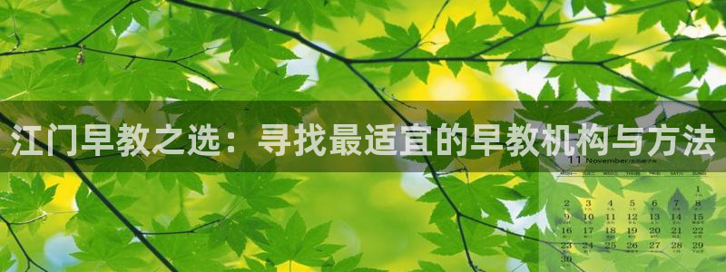 天顺娱乐亟72182：江门早教之选：寻找最适宜的早教机构与方法