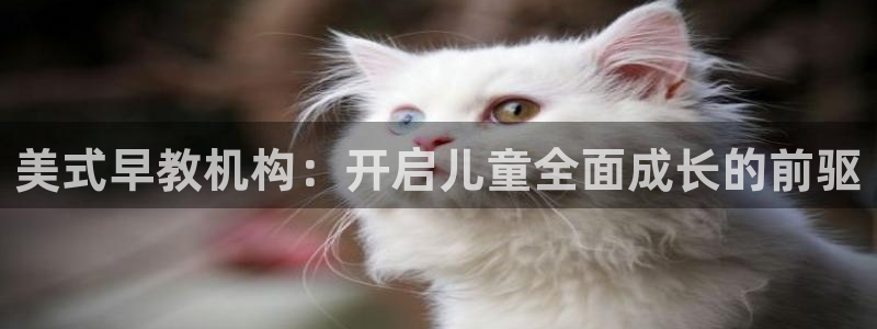 天顺娱乐品勒判p29999：美式早教机构：开启儿童全面成长的前驱