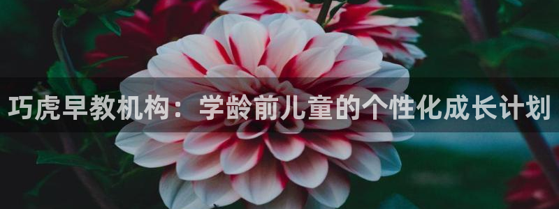 天顺娱乐王74OOO5：巧虎早教机构：学龄前儿童的个性化成长计划