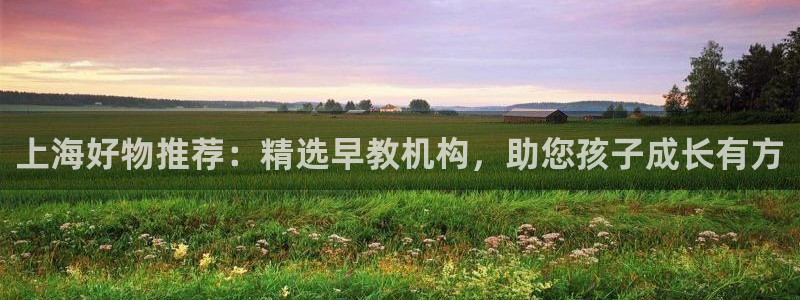 天顺娱乐扣53553：上海好物推荐：精选早教机构，助您孩子成长有方