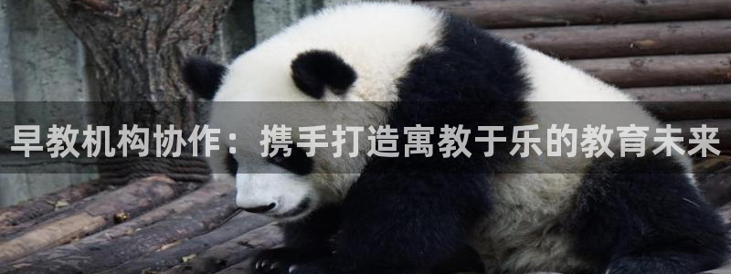 天顺娱乐丶金手指科捷1：早教机构协作：携手打造寓教于乐的教育未来