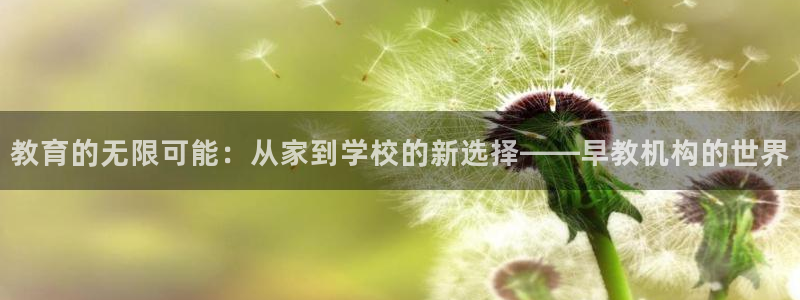 天顺娱乐暗职wx15 net：教育的无限可能：从家到学校的新选择——早教机构的世