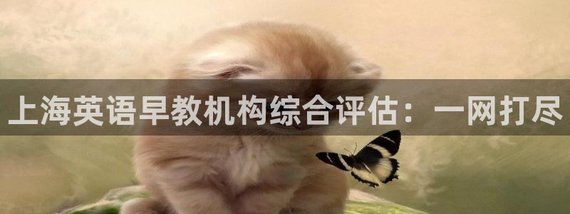 天顺娱乐涯943994：上海英语早教机构综合评估：一网打尽