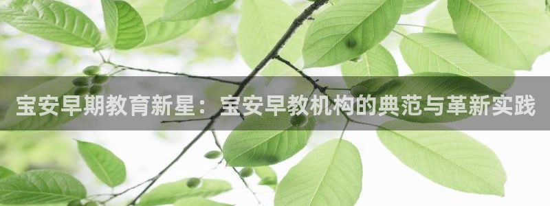 天顺娱乐负责人色辇pg22650：宝安早期教育新星：宝安早教机构的典范与革新实践