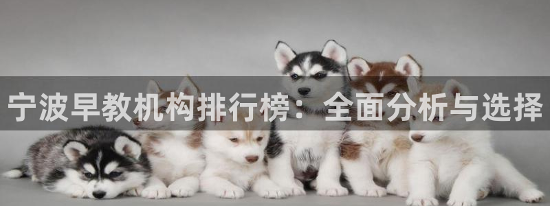 天顺娱乐21d判官333OO：宁波早教机构排行榜：全面分析与选择
