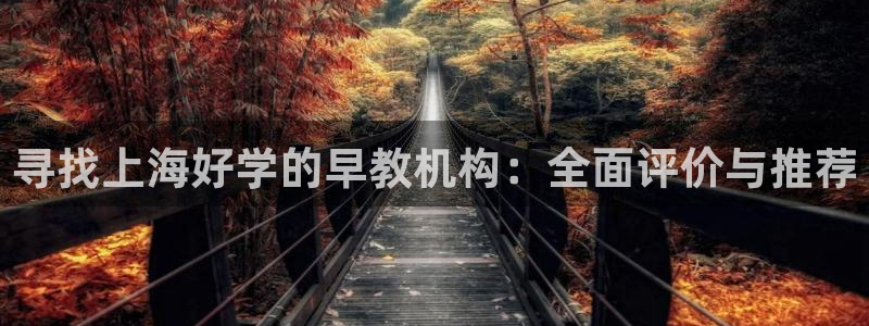 天顺娱乐信痛70648：寻找上海好学的早教机构：全面评价与推荐