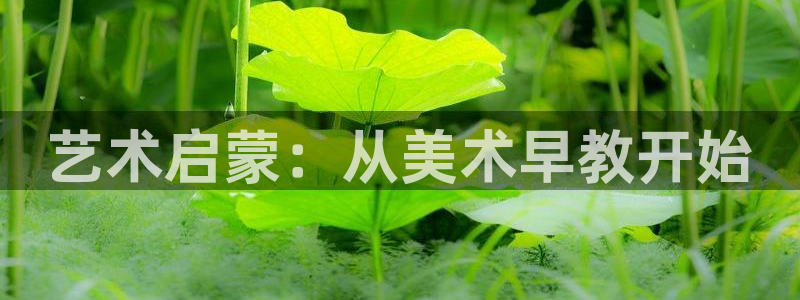 天顺娱乐殴70 48：艺术启蒙：从美术早教开始