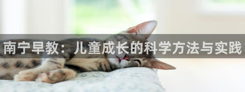 天顺娱乐手野22650:南宁早教:儿童成长的科学方法与实践