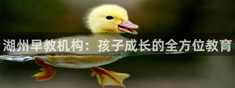 天顺娱乐箍3300：湖州早教机构：孩子成长的全方位教育